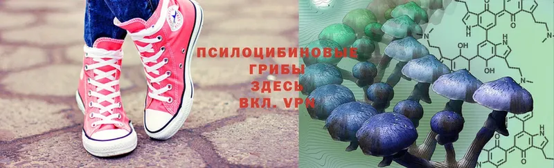 Псилоцибиновые грибы MAGIC MUSHROOMS Киселёвск